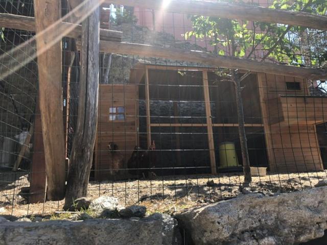 Appartamento Ulivo Finale Ligure Exterior foto